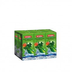 DRINHO WINTER MELON DRINK 250 ML X 6S