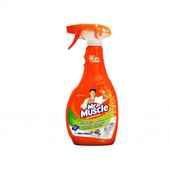 MR MUSCLE MOULD & MILDEW CLEANER TRIGGER 500ML
