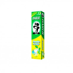 DARLIE DOUBLE ACTION TOOTHPASTE 100 GM