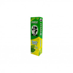 DARLIE DOUBLE ACTION TOOTHPASTE 250 GM
