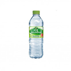 ICE MOUNTAIN MINERAL WATER 600ML