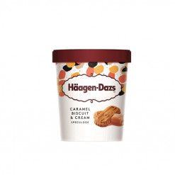 HAAGEN DAZS CARAMEL BISCUIT & CREAM 473ML