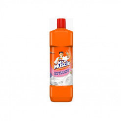 MR MUSCLE BATHROOM CLEANER FLORAL 900ML