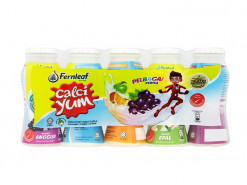 FERNLEAF CALCIYUM YOGHURT ASSORTED 110ML X 5S