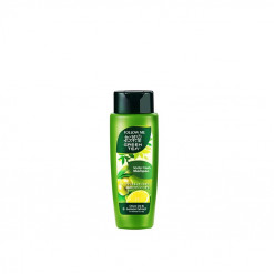 FM GREEN TEA SHAMPOO 320ML - SCALP FRESH