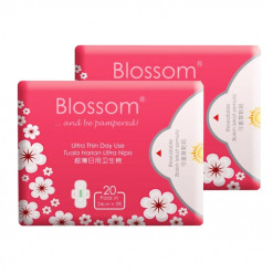 BLOSSOM DAY USE ULTRA THIN WING 20S X 2