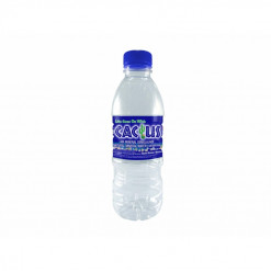 CACTUS MINERAL WATER 300ML