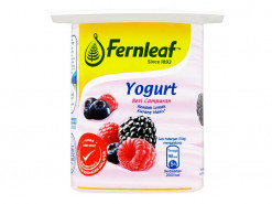 FERNLEAF LOW FAT YOGHURT MIXED BERRY 110GM