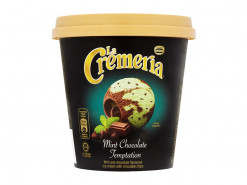 NESTLE LA CREMERIA MINT CHOC TEMPTATION 750ML