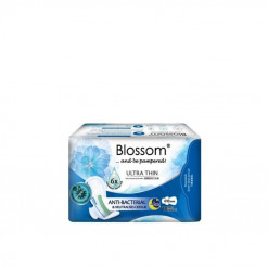 BLOSSOM NIGHT USE ULTRATHIN WING 10SX2(BL10)