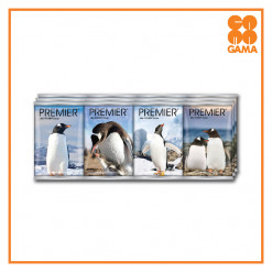 PREMIER POCKET TISSUE 9SX12SX5