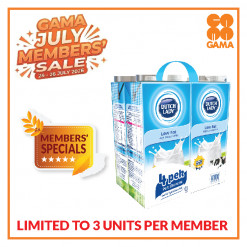 D/L MILK UH PF LOW FAT 1LIT X 4S-ECO PACK