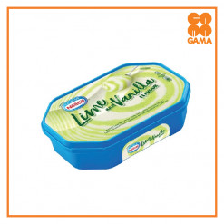 NESTLE LIME&VANILLA ICE CREAM 1.5LITRES