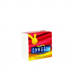 ONWARDS SERVIETTE 100GM