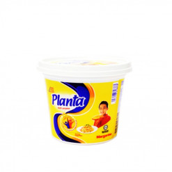 PLANTA MARGARINE 480 GM