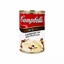 CAMPBELL WILD MUSHROOM 295GM