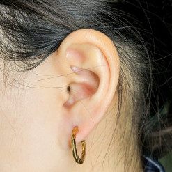 Italian Francise Earrings