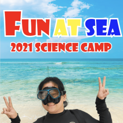 Fun at SEA fun program